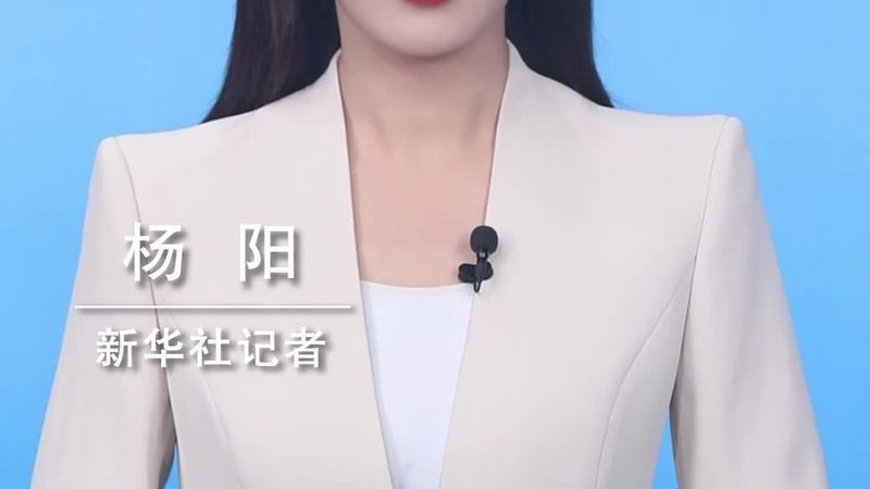 电商数据仓库星型模型：构建高效数据处理的基石**